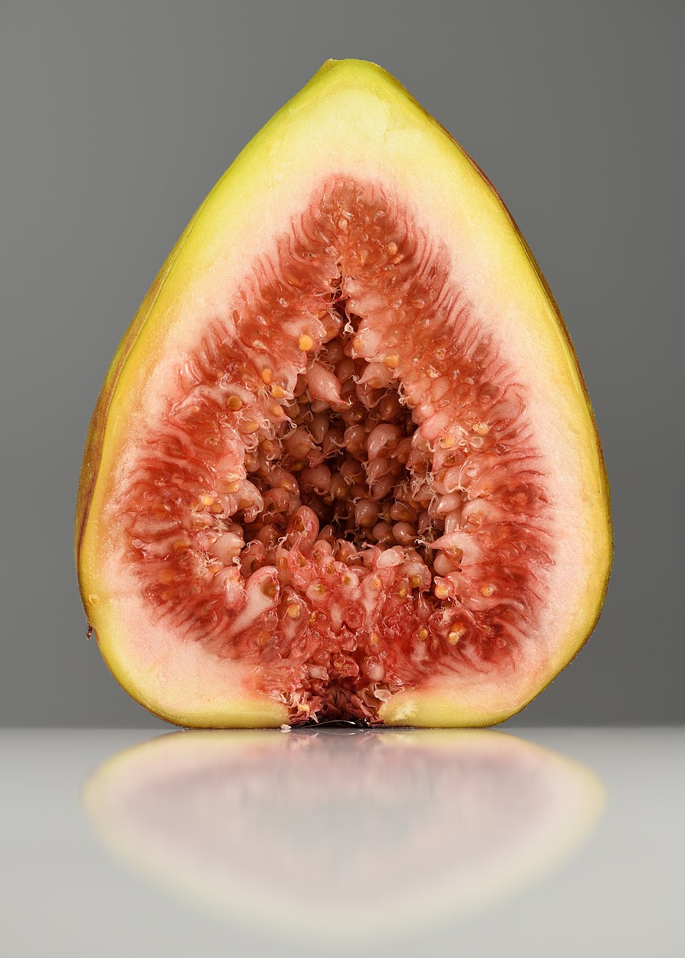 Black Genoa Fig